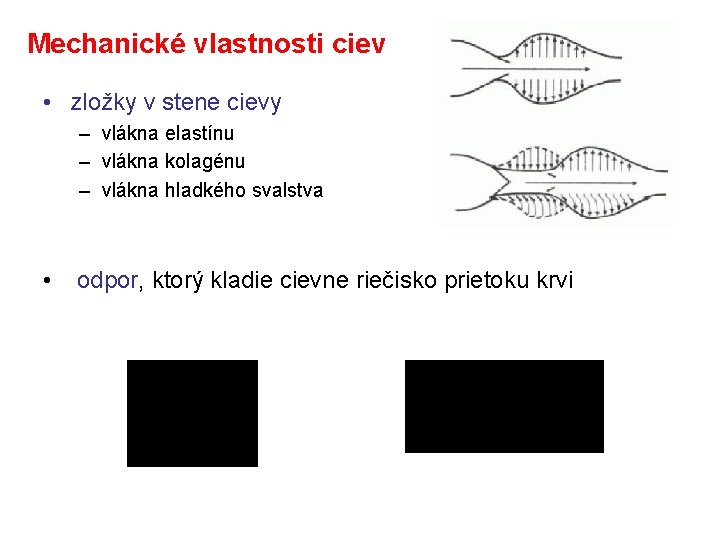 Mechanické vlastnosti ciev • zložky v stene cievy – vlákna elastínu – vlákna kolagénu