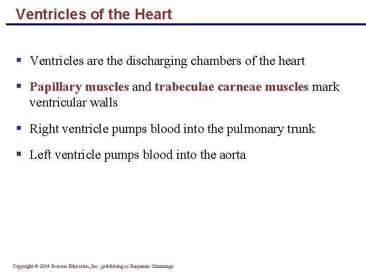 Ventricles of the Heart § Ventricles are the discharging chambers of the heart §