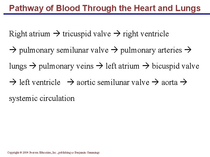 Pathway of Blood Through the Heart and Lungs Right atrium tricuspid valve right ventricle