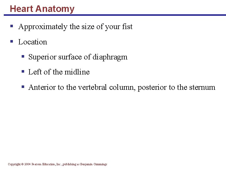 Heart Anatomy § Approximately the size of your fist § Location § Superior surface