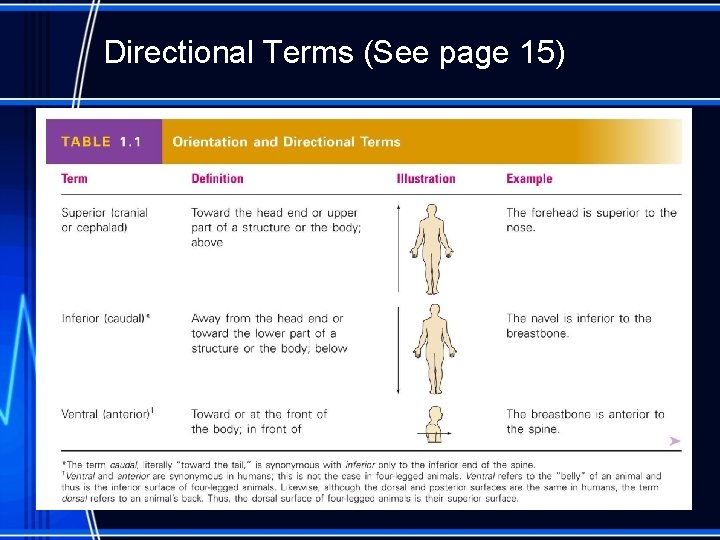 Directional Terms (See page 15) 