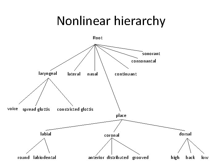 Nonlinear hierarchy Root sonorant consonantal laryngeal voice spread glottis lateral nasal continuant constricted glottis