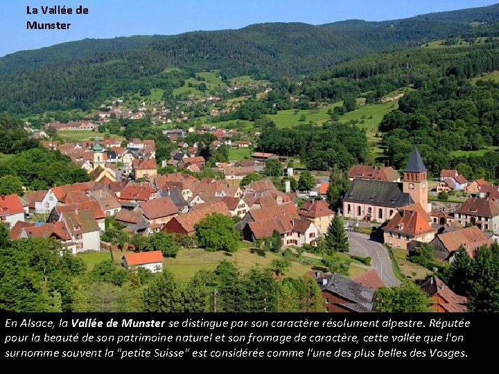 La Vallée de Munster En Alsace, la Vallée de Munster se distingue par son