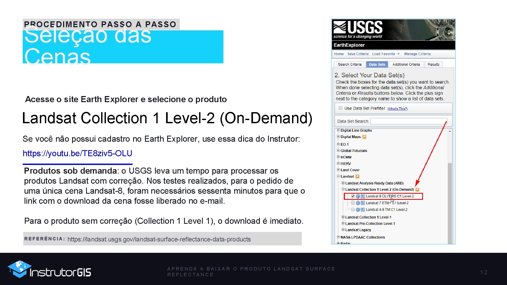 PROCEDIMENTO PASSO A PASSO Seleção das Cenas Acesse o site Earth Explorer e selecione