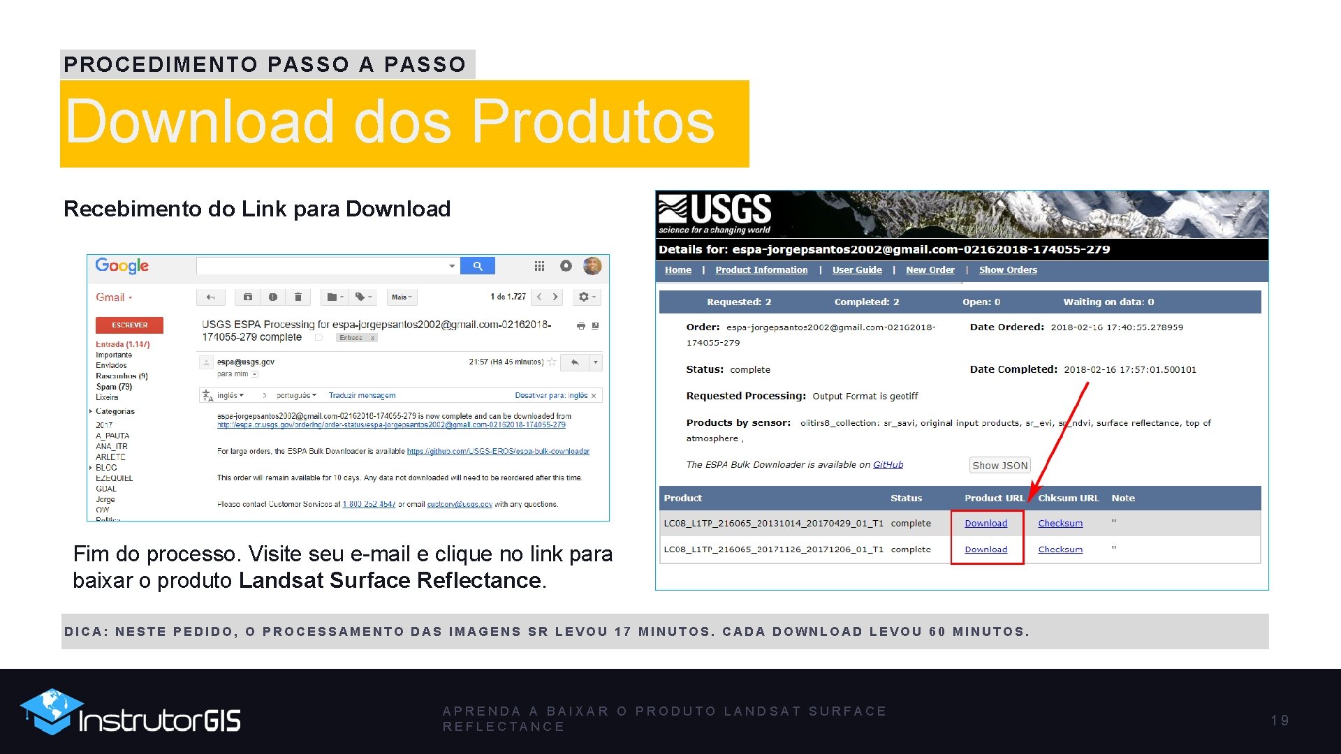 PROCEDIMENTO PASSO A PASSO Download dos Produtos Recebimento do Link para Download Fim do