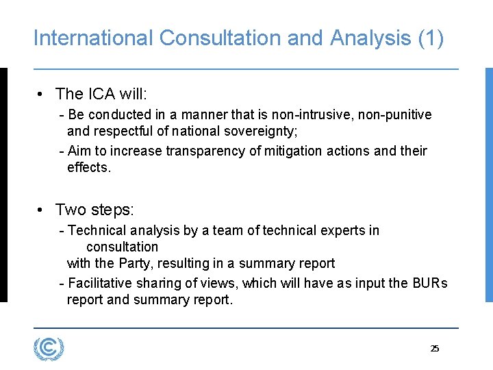 International Consultation and Analysis (1) • The ICA will: - Be conducted in a