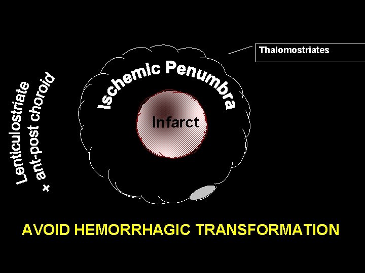 Collaterals Thalomostriates Infarct AVOID HEMORRHAGIC TRANSFORMATION 