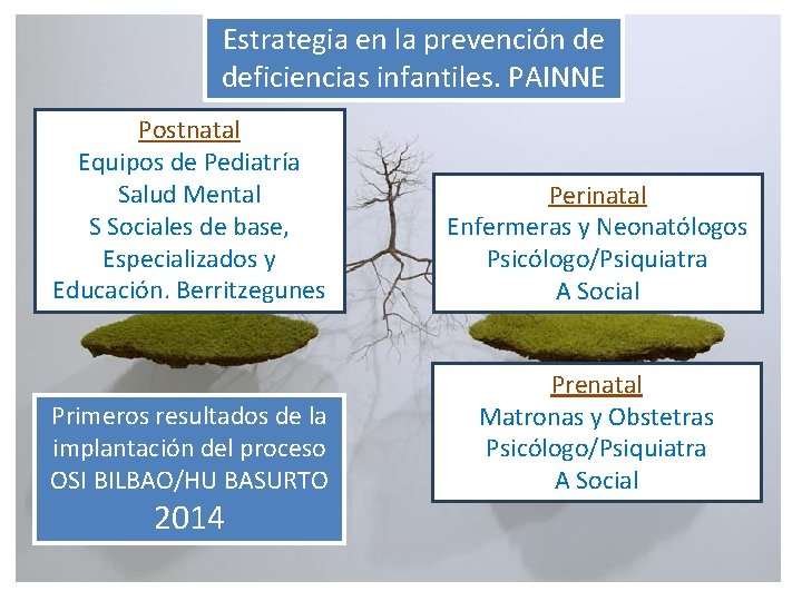 Estrategia en la prevención de deficiencias infantiles. PAINNE Postnatal Equipos de Pediatría Salud Mental