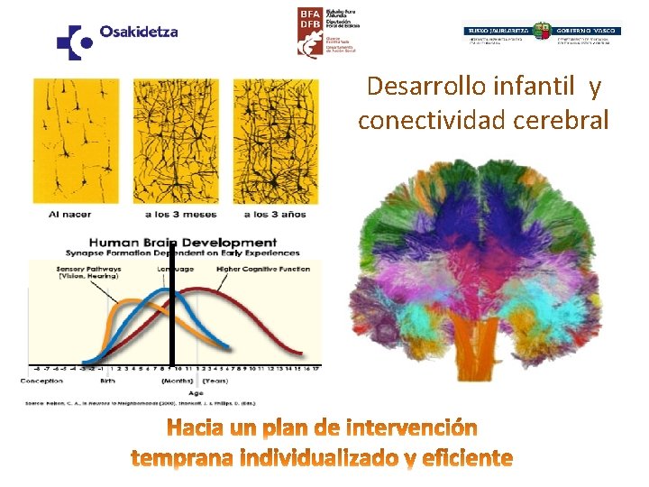 Desarrollo infantil y conectividad cerebral 