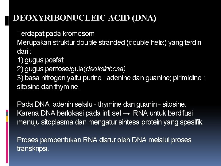 DEOXYRIBONUCLEIC ACID (DNA) Terdapat pada kromosom Merupakan struktur double stranded (double helix) yang terdiri