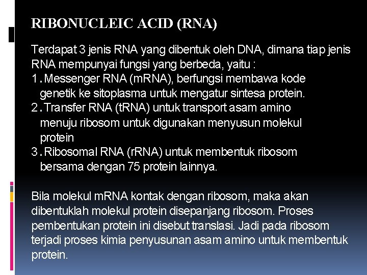 RIBONUCLEIC ACID (RNA) Terdapat 3 jenis RNA yang dibentuk oleh DNA, dimana tiap jenis