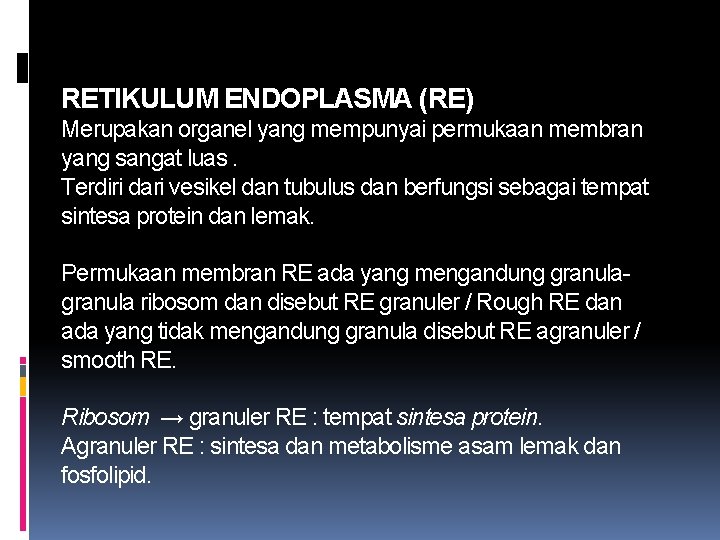 RETIKULUM ENDOPLASMA (RE) Merupakan organel yang mempunyai permukaan membran yang sangat luas. Terdiri dari