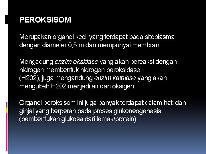 PEROKSISOM Merupakan organel kecil yang terdapat pada sitoplasma dengan diameter 0, 5 m dan