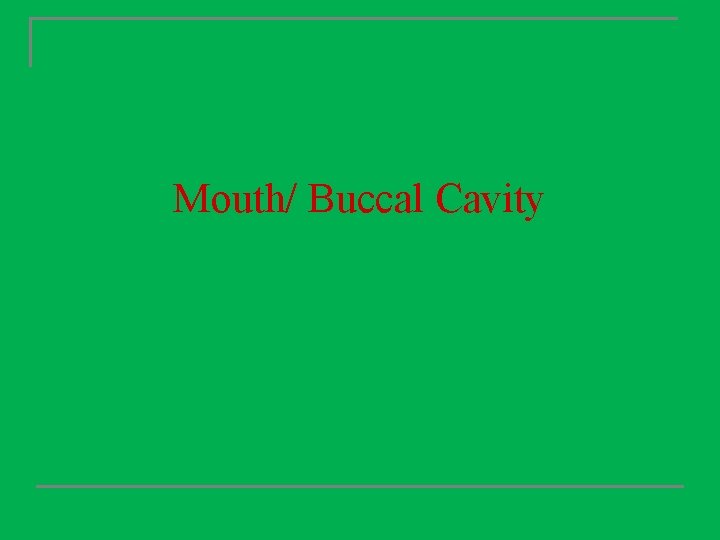 Mouth/ Buccal Cavity 