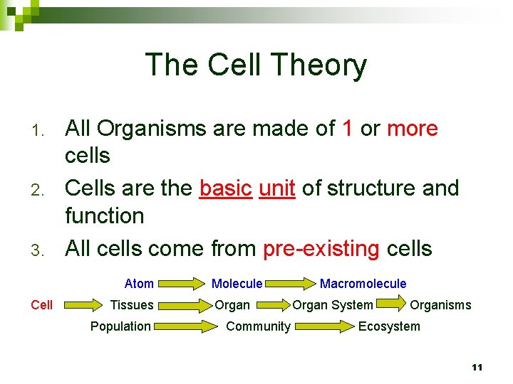 The Cell Theory 1. 2. 3. All Organisms are made of 1 or more