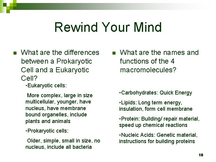 Rewind Your Mind n What are the differences between a Prokaryotic Cell and a