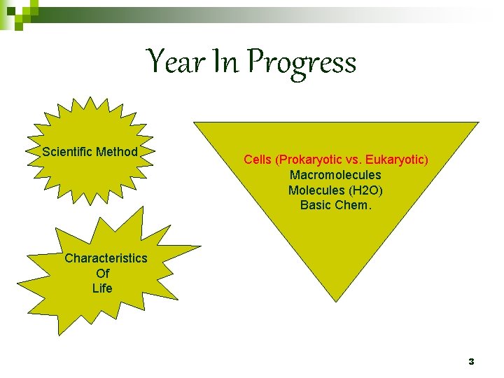 Year In Progress Scientific Method Cells (Prokaryotic vs. Eukaryotic) Macromolecules Molecules (H 2 O)