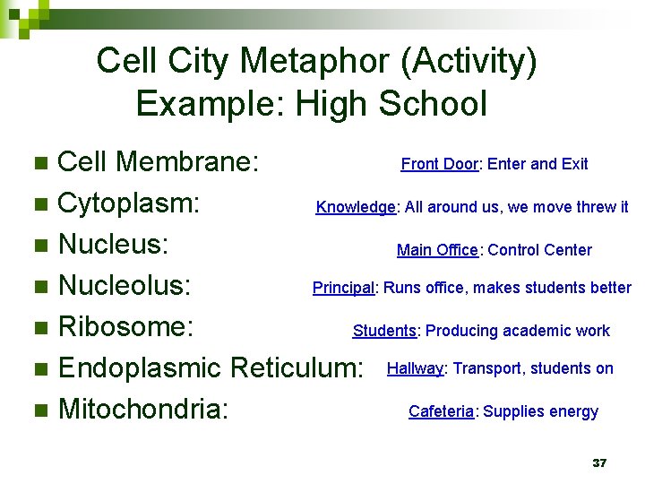 Cell City Metaphor (Activity) Example: High School Front Door: Enter and Exit Cell Membrane: