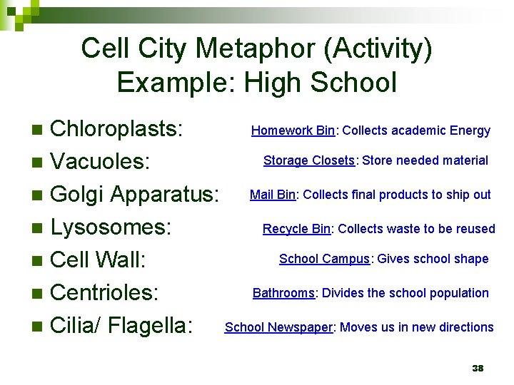 Cell City Metaphor (Activity) Example: High School Homework Bin: Collects academic Energy Chloroplasts: Storage