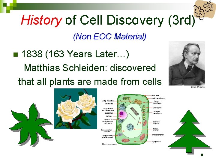 History of Cell Discovery (3 rd) (Non EOC Material) 1838 (163 Years Later…) Matthias