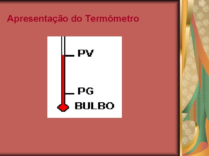 Apresentação do Termômetro 