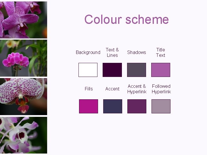 Colour scheme Background Text & Lines Shadows Title Text Fills Accent & Hyperlink Followed