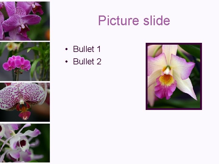 Picture slide • Bullet 1 • Bullet 2 