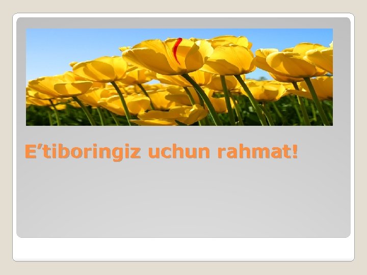 E’tiboringiz uchun rahmat! 