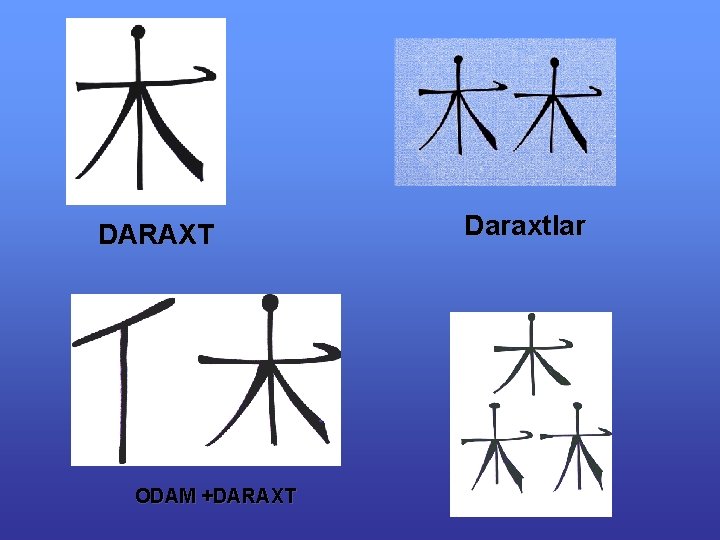 DARAXT ODAM +DARAXT Daraxtlar 