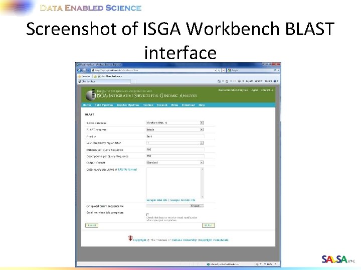 Screenshot of ISGA Workbench BLAST interface 