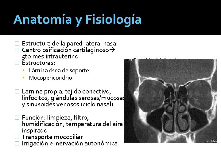 Anatomía y Fisiología Estructura de la pared lateral nasal Centro osificación cartilaginoso 5 to