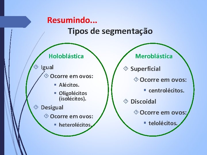 Resumindo. . . Tipos de segmentação Holoblástica Igual Ocorre em ovos: § Alécitos. §