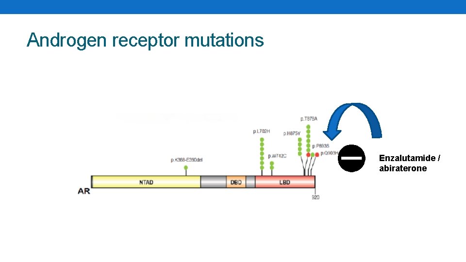 Androgen receptor mutations Enzalutamide / abiraterone 
