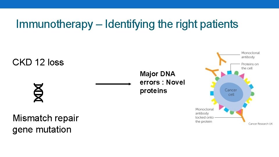 Immunotherapy – Identifying the right patients CKD 12 loss Major DNA errors : Novel