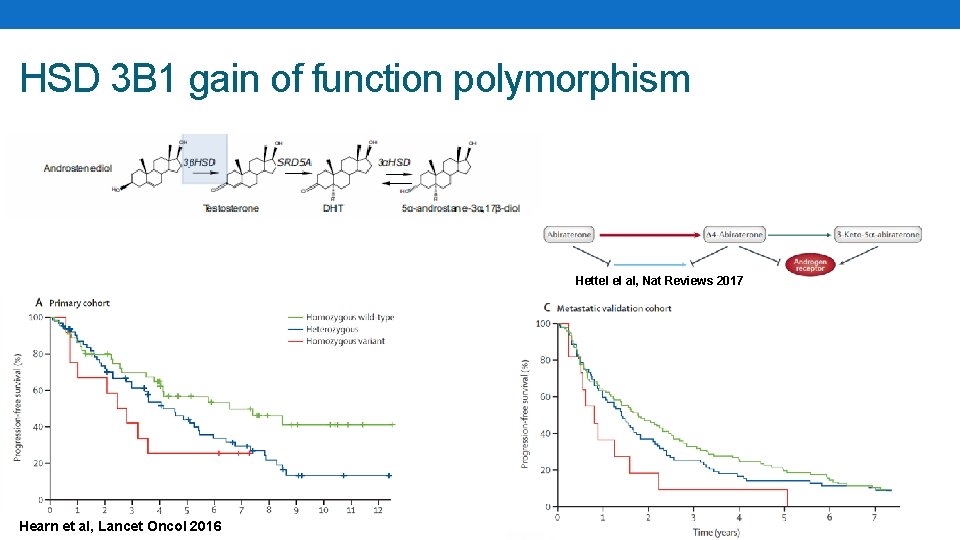 HSD 3 B 1 gain of function polymorphism Hettel el al, Nat Reviews 2017