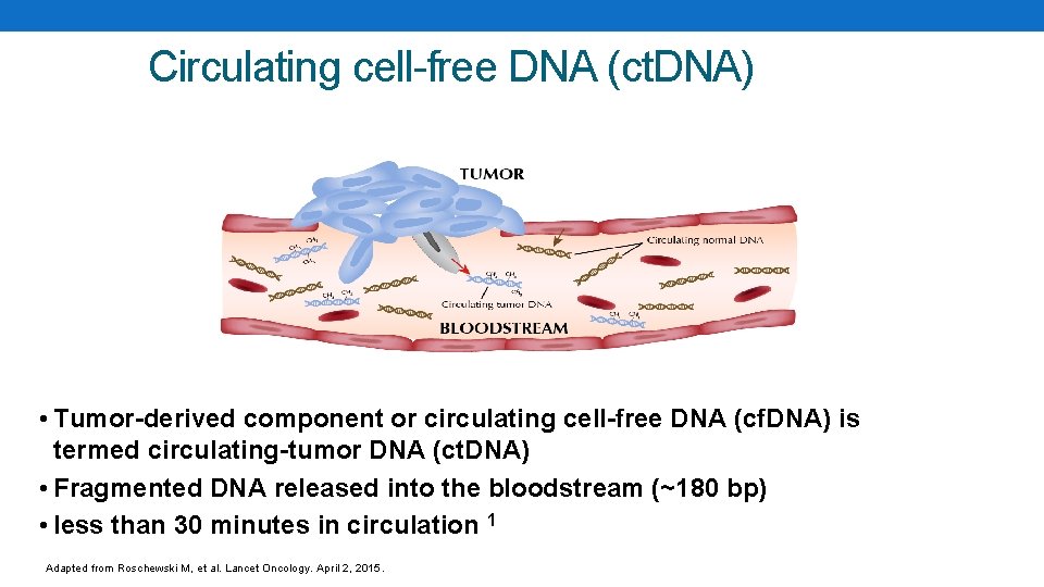 Circulating cell-free DNA (ct. DNA) • Tumor-derived component or circulating cell-free DNA (cf. DNA)