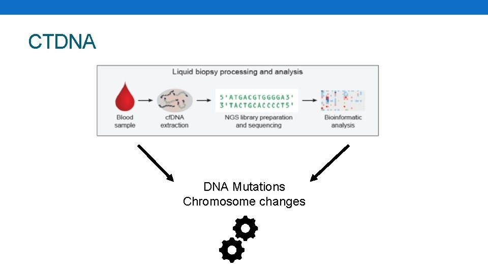 CTDNA Mutations Chromosome changes 