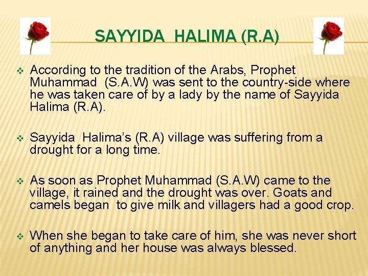 SAYYIDA HALIMA (R. A) v According to the tradition of the Arabs, Prophet Muhammad