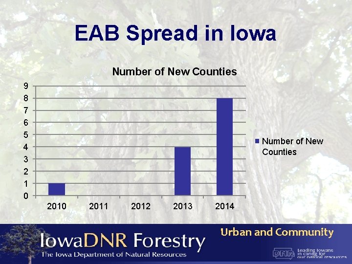 EAB Spread in Iowa Number of New Counties 9 8 7 6 5 4