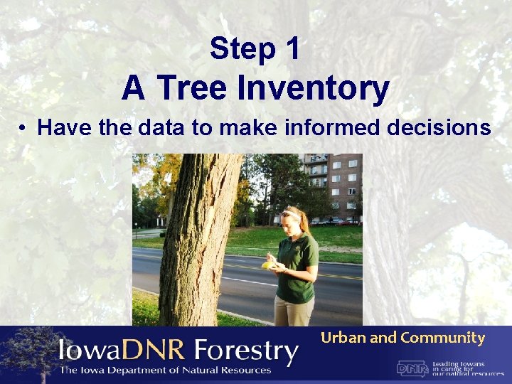 Step 1 A Tree Inventory • Have the data to make informed decisions Urban