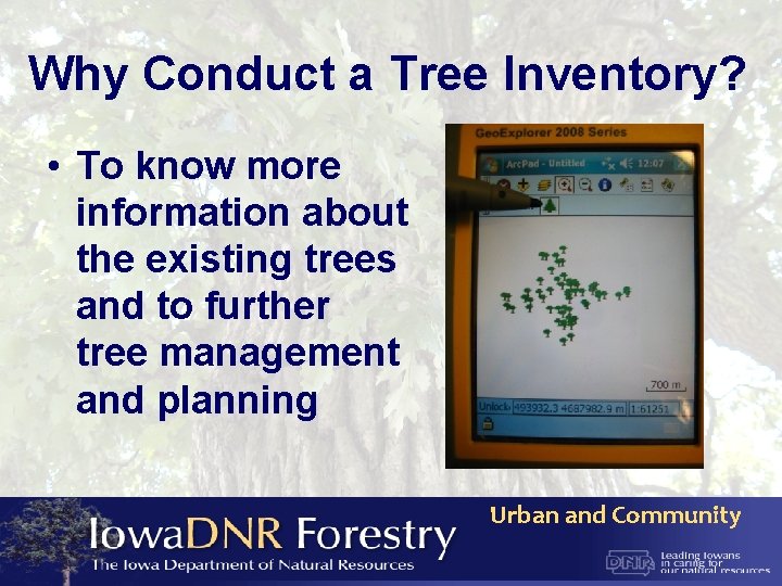 Why Conduct a Tree Inventory? • To know more information about the existing trees