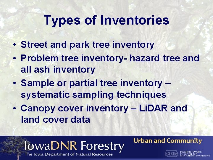 Types of Inventories • Street and park tree inventory • Problem tree inventory- hazard