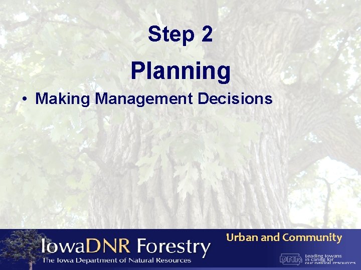 Step 2 Planning • Making Management Decisions Urban and Community 