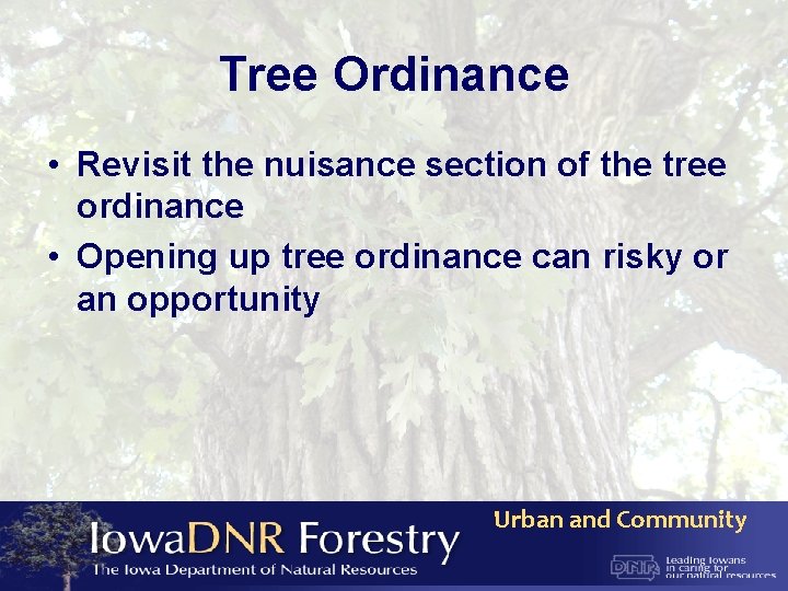 Tree Ordinance • Revisit the nuisance section of the tree ordinance • Opening up