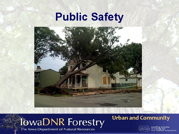 Public Safety Urban and Community 
