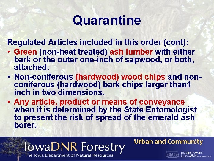 Quarantine Regulated Articles included in this order (cont): • Green (non-heat treated) ash lumber