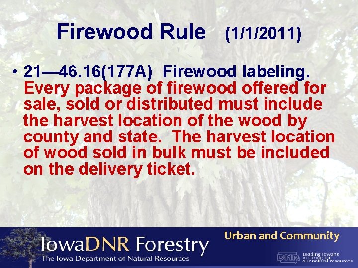 Firewood Rule (1/1/2011) • 21— 46. 16(177 A) Firewood labeling. Every package of firewood
