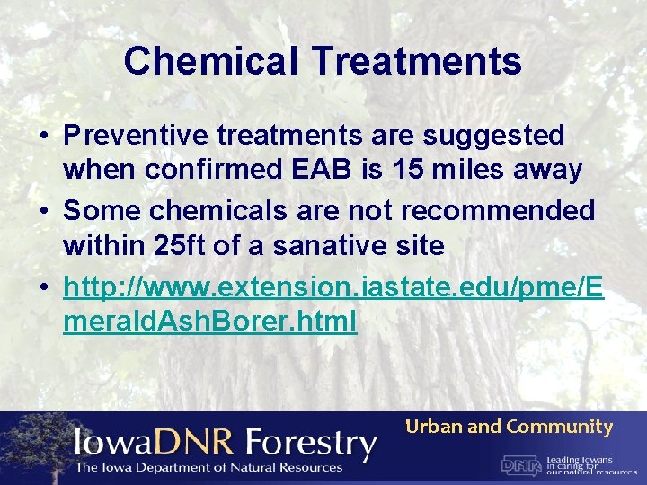 Chemical Treatments • Preventive treatments are suggested when confirmed EAB is 15 miles away
