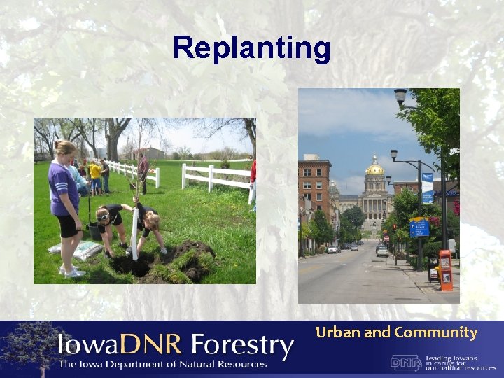 Replanting Urban and Community 