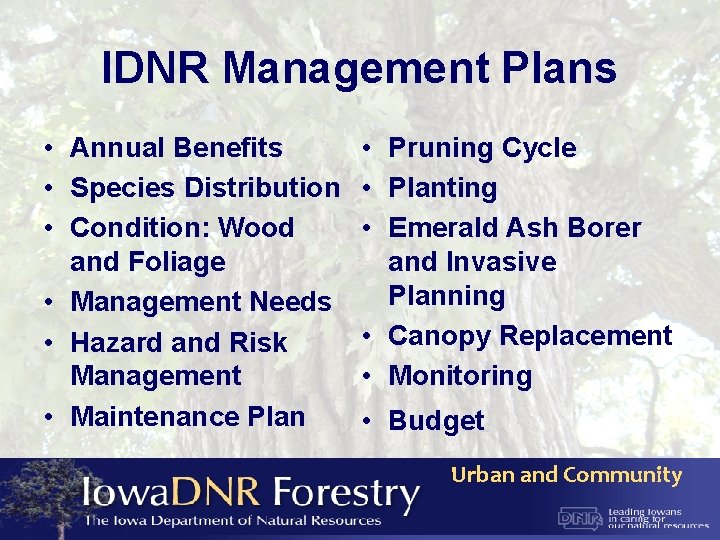 IDNR Management Plans • Annual Benefits • • Species Distribution • • Condition: Wood